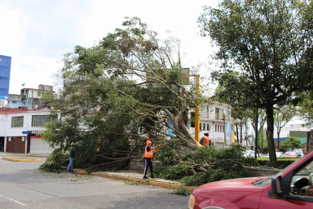 Fuertes vientos por Frente Frío 41 dejan heridos y daños en municipios de Veracruz